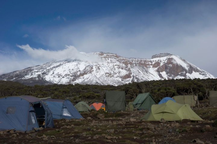 6 Days Rongai
