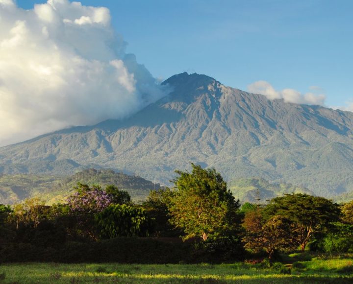 Arusha National Park (4)