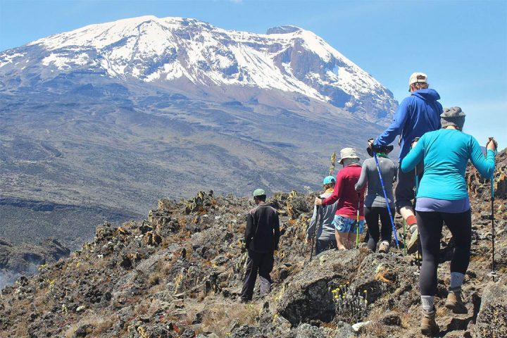 Mount-Kilimanjaro-Day-Hike-(Lower-Slopes)