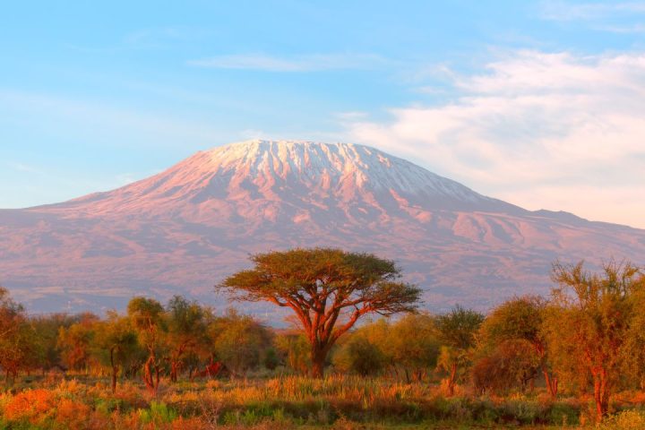 Mt Kilimanjaro