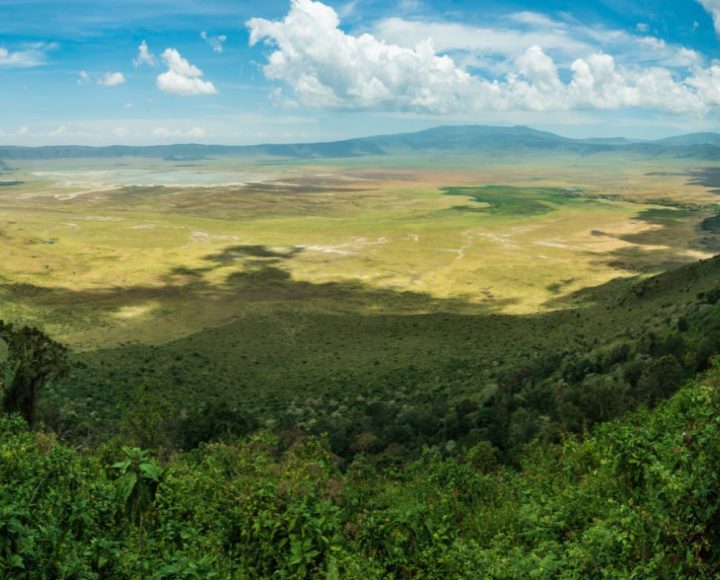 Ngorongoro Crater (1)